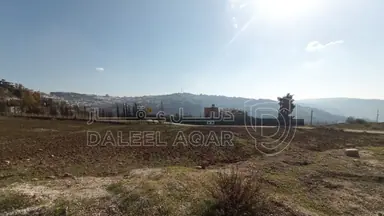 أرض في للبيع قطعة اراض في ناعور حوض عيون الجاموس - 248,520 دأ - صورة NaN